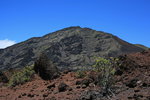 photo thumbnail #14