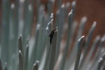 photo thumbnail #15
