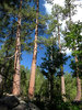 photo thumbnail #12