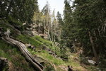 photo thumbnail #9