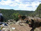 photo thumbnail #12