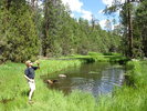 photo thumbnail #14