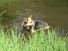 photo thumbnail #15