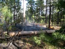photo thumbnail #6