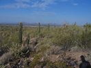 photo thumbnail #4
