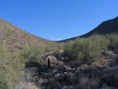photo thumbnail #6