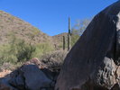 photo thumbnail #8