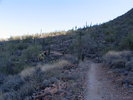 photo thumbnail #10