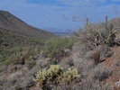 photo thumbnail #11