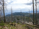 photo thumbnail #1