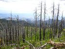 photo thumbnail #2