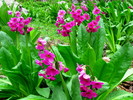 photo thumbnail #9