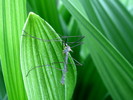 Featured Full Photo