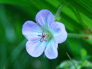 photo thumbnail #13