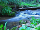 photo thumbnail #14