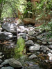 photo thumbnail #15