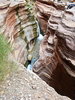 photo thumbnail #15
