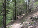 photo thumbnail #1
