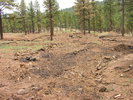 photo thumbnail #11