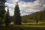 photo thumbnail #6