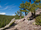 photo thumbnail #7