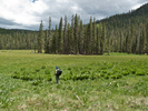 photo thumbnail #14