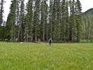 photo thumbnail #15