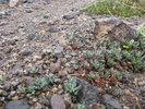 photo thumbnail #15