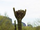 photo thumbnail #1