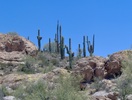 photo thumbnail #2