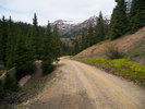 photo thumbnail #4