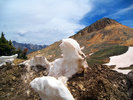 photo thumbnail #9