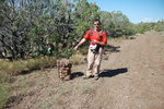 photo thumbnail #4
