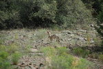 photo thumbnail #15