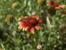 photo thumbnail #11