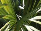 photo thumbnail #14