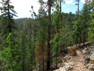 photo thumbnail #7