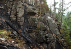 photo thumbnail #8