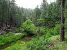 photo thumbnail #9