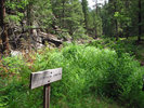 photo thumbnail #10