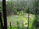 photo thumbnail #13