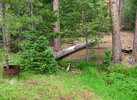 photo thumbnail #15