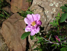 photo thumbnail #13