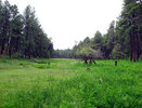 photo thumbnail #14