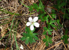 photo thumbnail #15