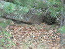 photo thumbnail #13