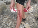 photo thumbnail #14