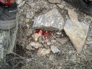 photo thumbnail #15