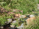photo thumbnail #12