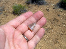 photo thumbnail #11